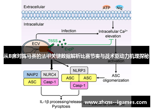 从B席对阵马赛的法甲关键数据解析比赛节奏与战术驱动力机理探秘 从B席对阵马赛的法甲关键数据解析比赛节奏与战术驱动力机理探秘